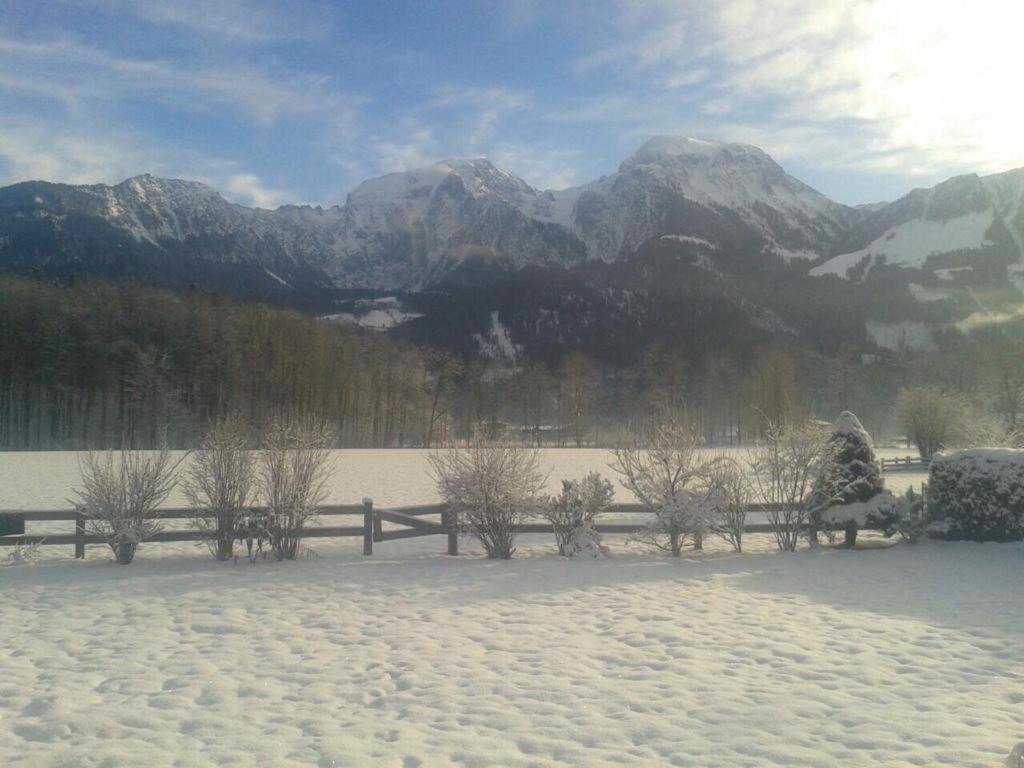 Homestay Fewo Schoenau Am Koenigssee Schoenau am Koenigsee